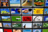 Media Buyer